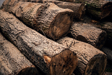 Fototapeta premium Pile of woods prepared for cutting.