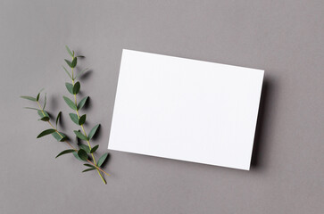 Invitation, flyer or greeting card mockup with natural eucalyptus twigs