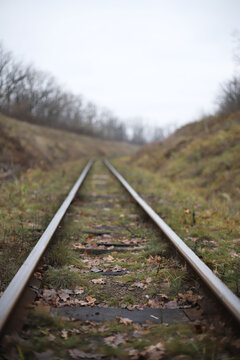 narrow-gauge railroad tracks among a field with green grass and poles with wires