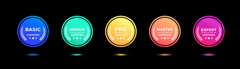 Certified badge set design for company. Certificates badge colorful modern vector icon set. On black background