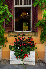 Fototapeta na wymiar decorating window sills on the street side red geranium in flowerpots. Blooming red Pelargonium hortorum