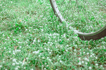 Vintage bicycle on grass. Image has shallow depth of field.