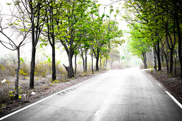 Picture concept, The road ahead will be long. Start from the first step.