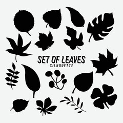 Black autumn leaves or foliage silhouettes are isolated on white background. vector fall tree leaf shapes with maple, oak, birch, and other nordic leave little twisted