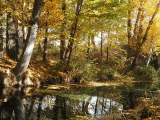 Fall