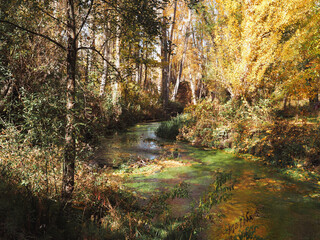 Fall