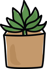 Cactus. natural, Hand Drawn