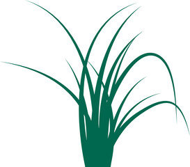 Grass. Grass field natural