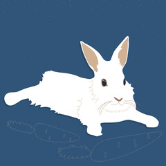 A white fluffy rabbit is lying down. Bunny with carrots. Illustration vector isolated isolated on dark blue background.