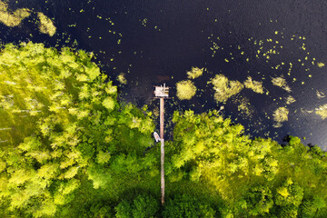 Aerial view of lake with wooden pier. Mole on summer lake for fishing. Aerial landscape, green trees on lake shore with dock for boats, top view