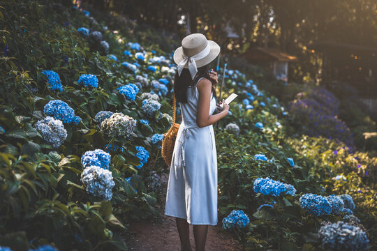 Traveler woman with mobile phone travel in flower garden at Chiang Mai Thailand