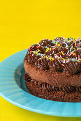 Chocolate Cake in a Blue Plate