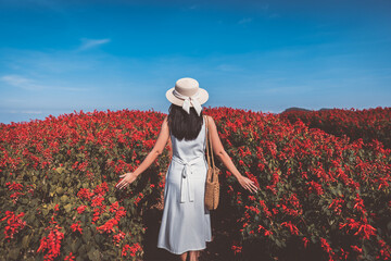 Traveler asian woman travel in flower garden at Chiang Mai Thailand