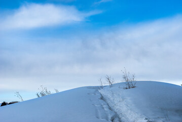 Fototapeta na wymiar landscape with snow