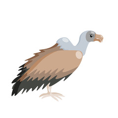 Cartoon vulture character on white background, vector isolated.