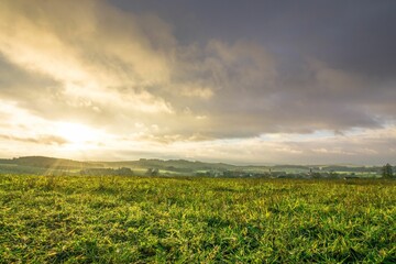 Beautiful landscape of a green field at sunset with a cloudy sky in the background