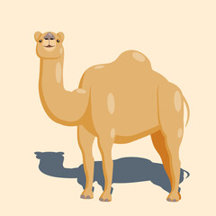 Cartoon camel character standing minimalist beige color in desert with shadow. Isolated vector illustration.