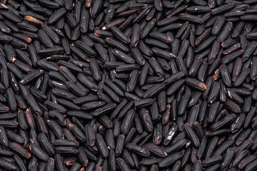rice  black background
