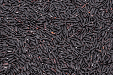 rice  black background