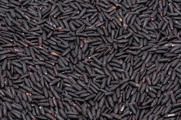 rice  black background