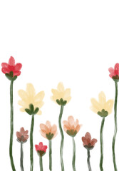 Flower background 