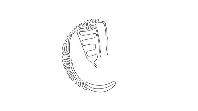 Animated self drawing of continuous line draw baseball glove for championship promotion. Baseball tournament. Team sport league banner. Swirl curl circle style. Full length single line animation