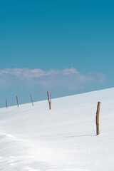 Wooden sticks for dairy farm free range fencing in snow at Zlatibor landscape