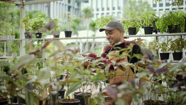 Confident man gardener is happily taking care of plants in his garden in tree shop. Florist Garden store owner busines. Man planting trees as a hobby in the backyard. Small business.