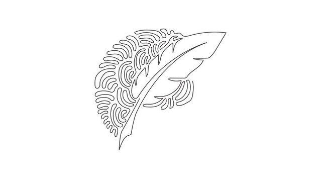Self drawing animation of single line draw vintage Feather quill pen logo with black ink stroke, scratch icon, classic stationery. Swirl curl circle style. Continuous line draw. Full length animated