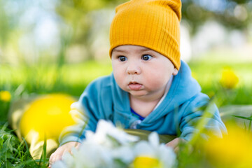 Baby boy on the dandelion meadow. Child in field