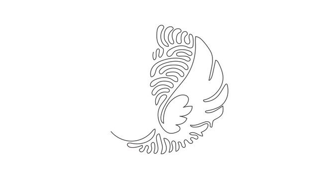 Self drawing animation of single line draw cute angel wings holiday romantic decoration logo vector image. Swirl curl circle background style. Continuous line draw. Full length animated illustration