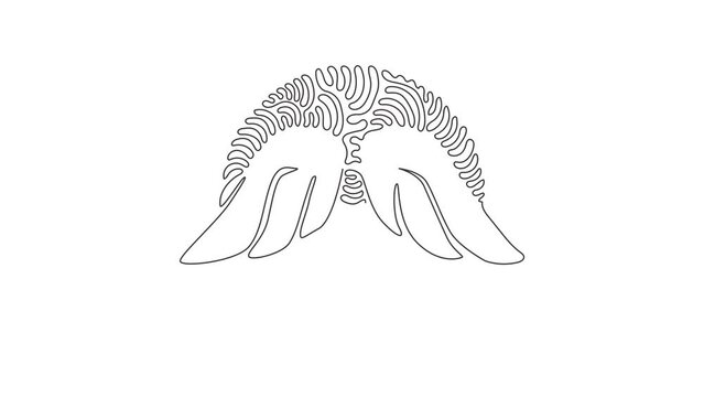 Animated self drawing of single continuous line draw cute angel wings holiday romantic decoration logo vector image. Swirl curl circle background style. Full length one line animation illustration