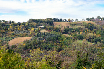 Fototapeta na wymiar Autumn view of fields and woods under Belvedere Fogliense, Region Marche of Italy.