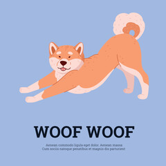 Shiba inu dog card or banner, poster design flat cartoon vector illustration.