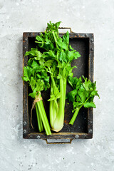Bouquet of fresh celery stalk with leaves in a wooden box. Organic healthy food on stone background. Top view. Free space for text.
