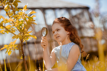 Girl in a blue dress scrutinizing a tree with a magnifier