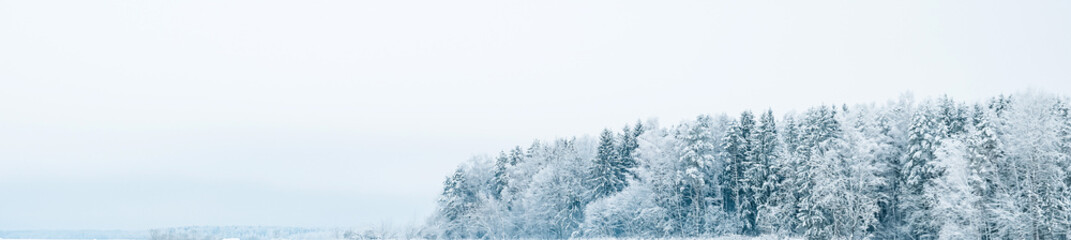 Winter forest with snow,Christmas background.covered frost trees snowdrifts. Magical winter forest. Natural landscape travel outdoors, hiking,spending time outdoors,winter travel,christmas forest.