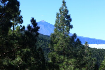The Mount Teide is a volcano on Tenerife in the Canary Islands
