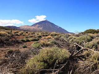 The Mount Teide is a volcano on Tenerife in the Canary Islands