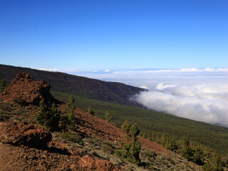 View in the National Park of Teide in tenerife