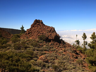 View in the National Park of Teide in tenerife