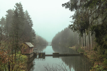 idyllischer Waldsee mit Hütte im Nebel