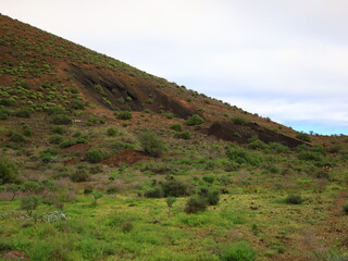 Fototapeta na wymiar View in the Rural Park of Anaga in the north of tenerife