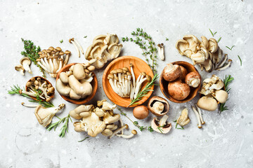Organic Healthy Mushrooms: Maitake Mushrooms, Brown beech mushroom, and champignons. On a stone...