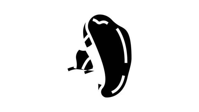 spleen human organ glyph icon animation