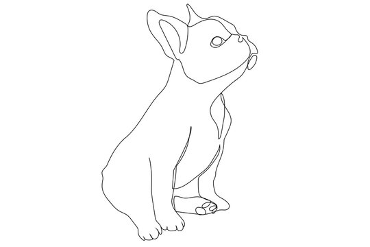 Sitting French bulldog one continuous single drawn line art vector illustration. Dog doodle one line style.