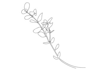 Eucalyptus silver dollar branch continuous line drawing. One line minimalism art