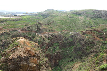 Fototapeta na wymiar View in the Doramas Rural Park in the north of Gran Canaria
