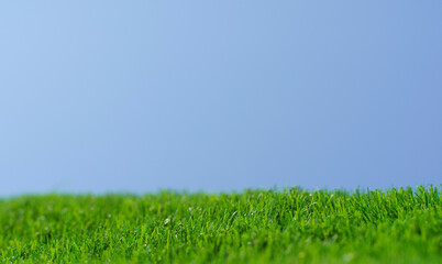 Lawn background. Green grass surface. Sport, decor, nature, spring concept.