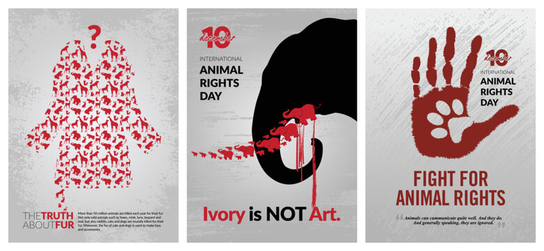 International Animal Right Day Poster, Banner, Social Media Template. Stock  Vector | Adobe Stock